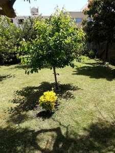 Chalet en Parque Luro